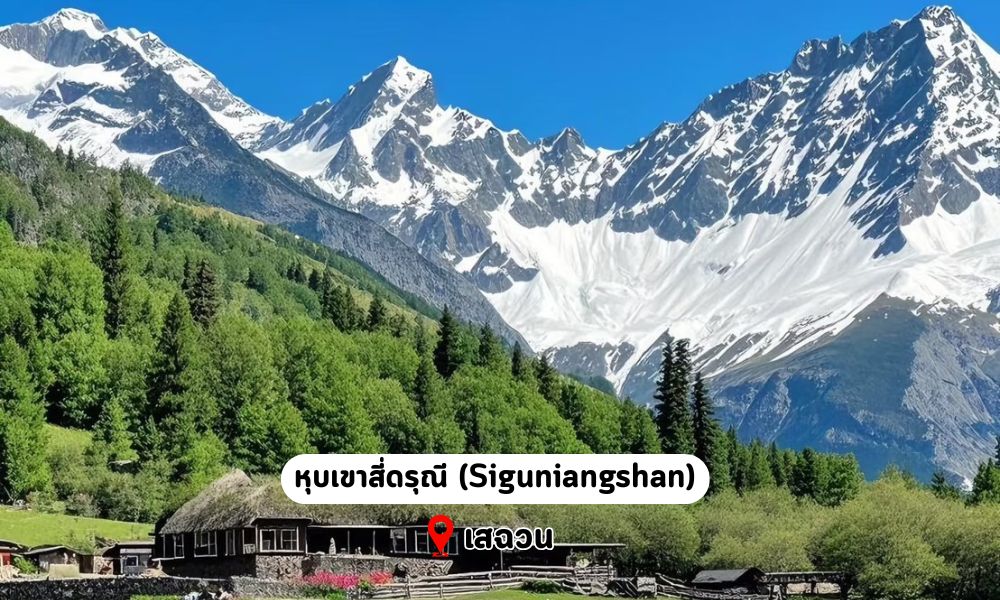 Sub Image