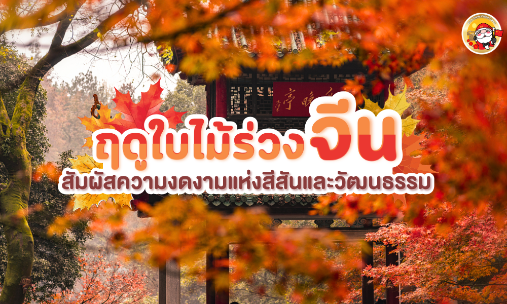 ฤดูใบไม้ร่วงในจีน: สัมผัสความงดงามแห่งสีสันและวัฒนธรรม