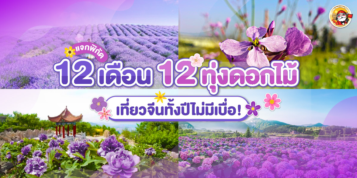 12 เดือน 12 ทุ่งดอกไม้ เที่ยวจีนทั้งปีไม่มีเบื่อ!