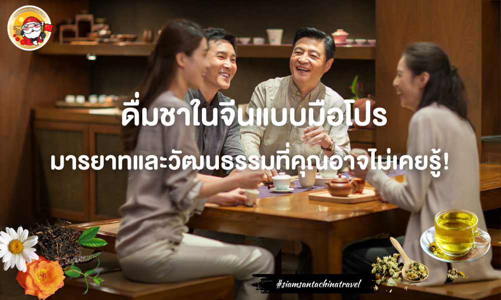  ดื่มชาในจีนแบบโปร: มารยาทและวัฒนธรรมที่คุณอาจไม่เคยรู้