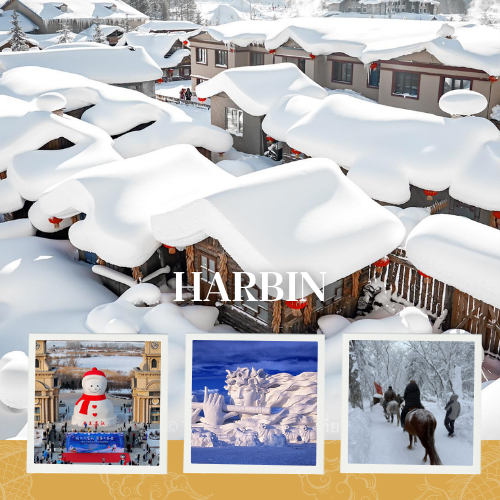 Package Image